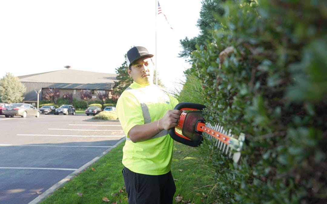 Commercial Exterior Property Services for a Cleaner, Better-Maintained Property