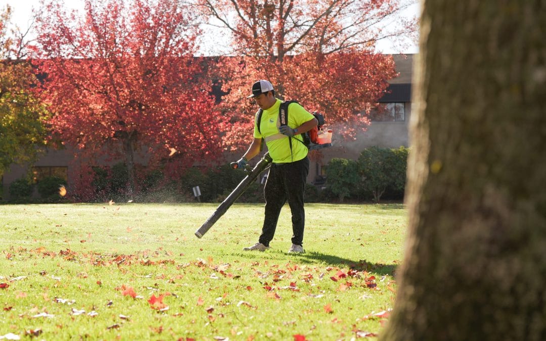 One-Time Fall Cleanup or Recurring Leaf Removal? What Tacoma–Fife Commercial Properties Need