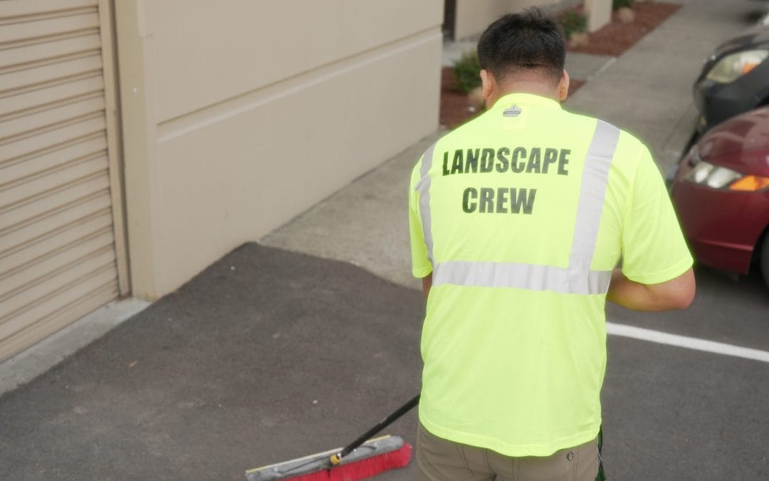 Proactive Parking Lot Maintenance That Protects Your Property and Enhances Curb Appeal