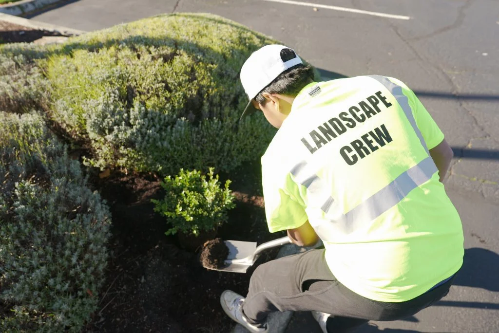 commercial exterior property services