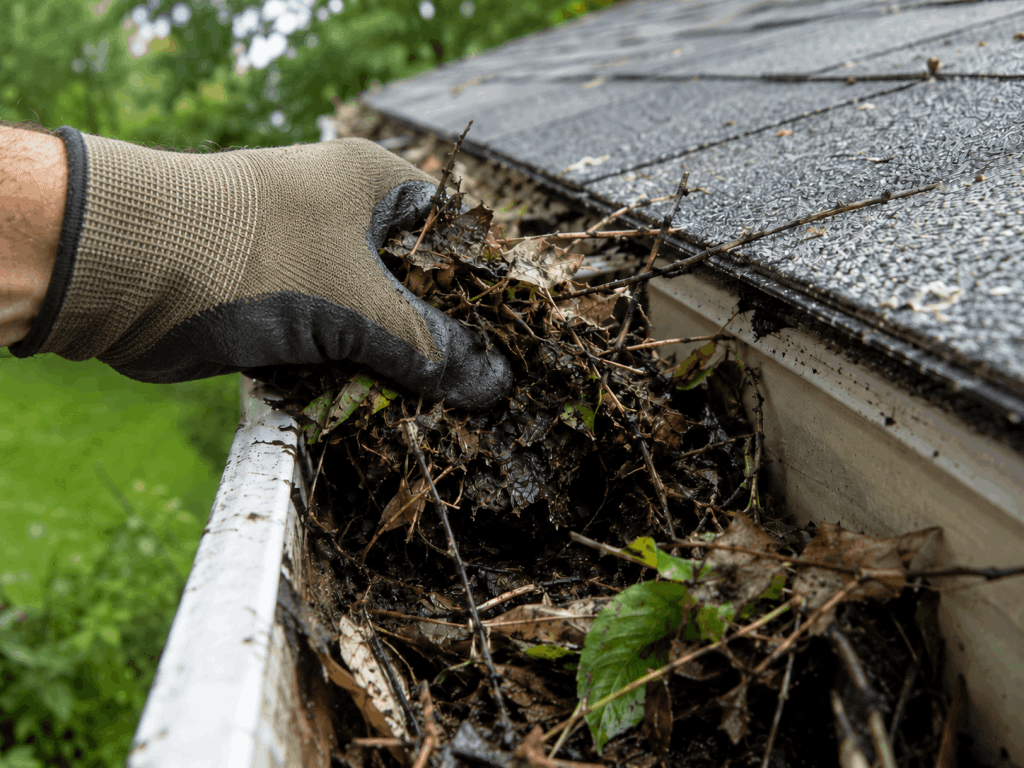 Commercial Roof and Gutter Cleaning