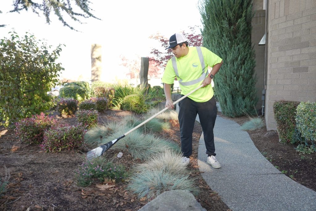 Recurring commercial Leaf Removal 